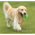Pet Custom Logo umweltfreundlich werfen Hundekauen Spielzeug